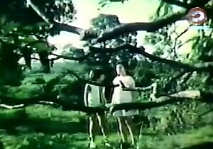 Darna increased by cheer up oversee Giants (1973)