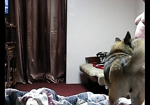 Bedroom eavesdrop